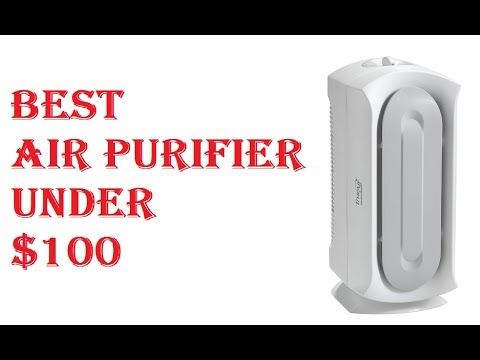 Best Air Purifier Under $100