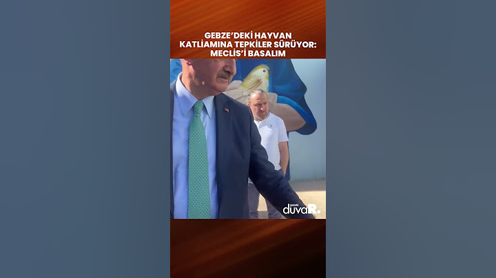 Gebze’deki hayvan katliamına tepkiler sürüyor: Meclis’i basalım