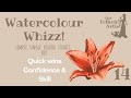 Watercolour whizz 14  july 2021  lily