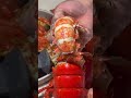 Lobster claw of a 7 pound lobster! In Las Vegas! At the angry crab shack