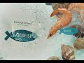 Bartofish — ресторан вишуканих морепродуктів!
