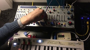 Buchla / Modular Human Voice Patch