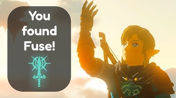 🔴 This TOTK Randomizer Update Is Insane! (999 GOALS)