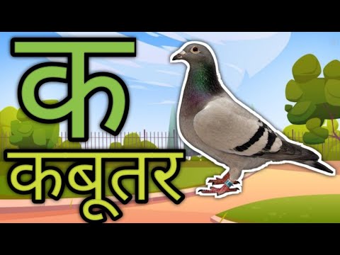 k se kabutar | ka se kabutar | k se kabutar kha se khargosh Hindi Kids ...