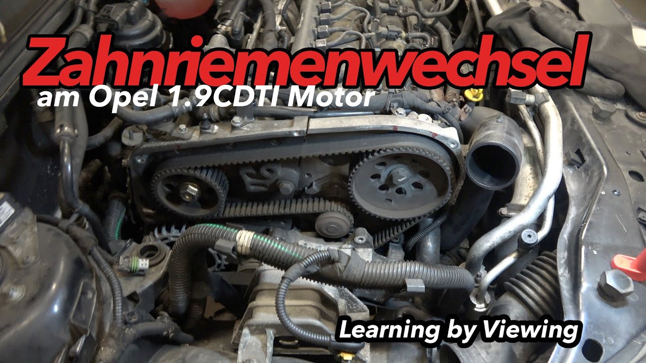 Opel Vivaro 1.9 Cdti Zahnriemen Oder Steuerkette Zahnriemenwechsel Opel 1.9CDTi (Z19DTH) | Vectra C | Learning by