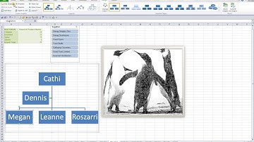 SmartArt in Microsoft Excel 2010 (Video 16 of 19)