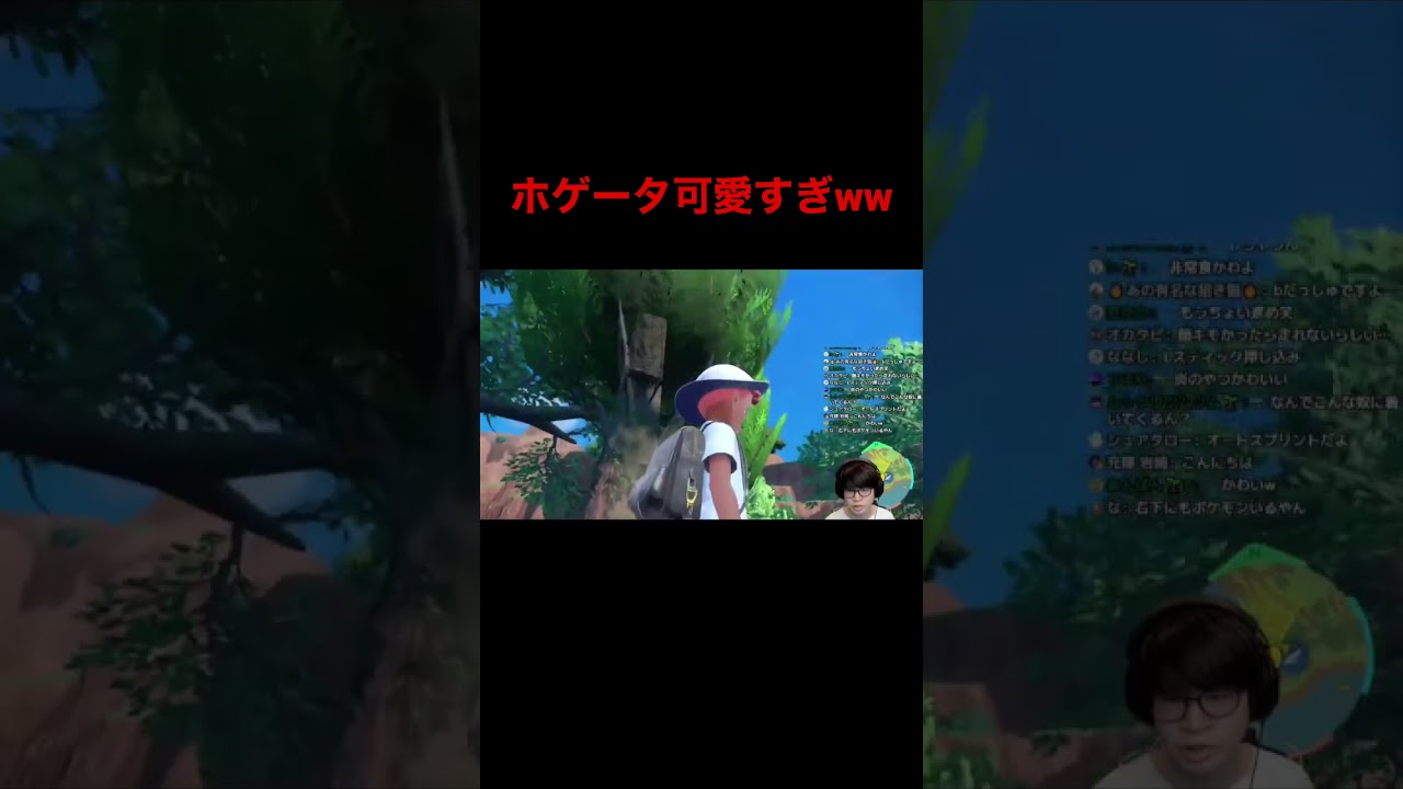 ホゲータとかいう最高に可愛い生き物www#ポケモンsv #youtubeshorts #ゲーム実況