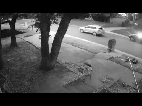Surveillance video shows 2 people throw firework into Jeep, police searching for Texas suspects