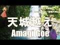 P046. 『天城越え』 ”Amagi Goe” 複音ハーモニカ Performed by 柳川優子 Yuko Yanagawa 　 Tremolo Harmonica 1000