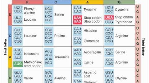 BIS2C FALL2012 Lecture 6 - The Tree of Life
