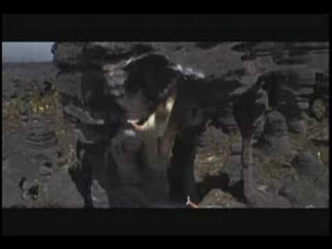 utah's-high-adventure-mountain-film-festival-clips