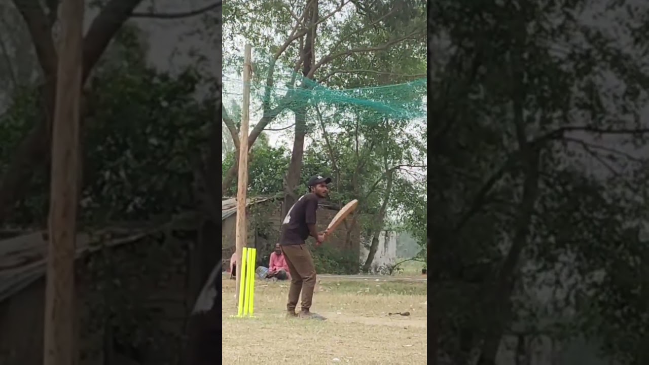 cricket Update ❤️❤️