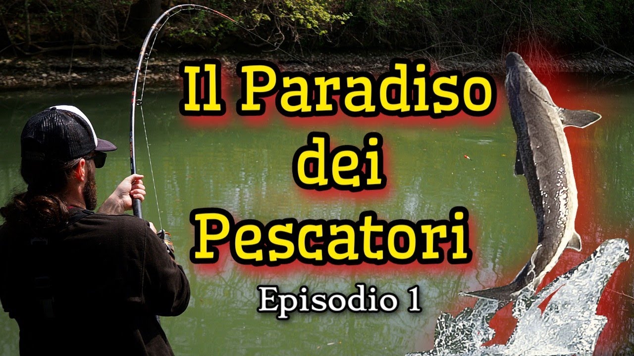 Ho pescato nella riserva più esclusiva d'Italia - AFV Mortone (4K)