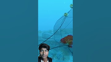 #tutorialfilter #tutorial #tutorialyoutube #viral #video #reaction #video