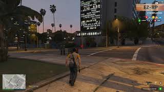 EZ - RP REAL aim and weapons on the back