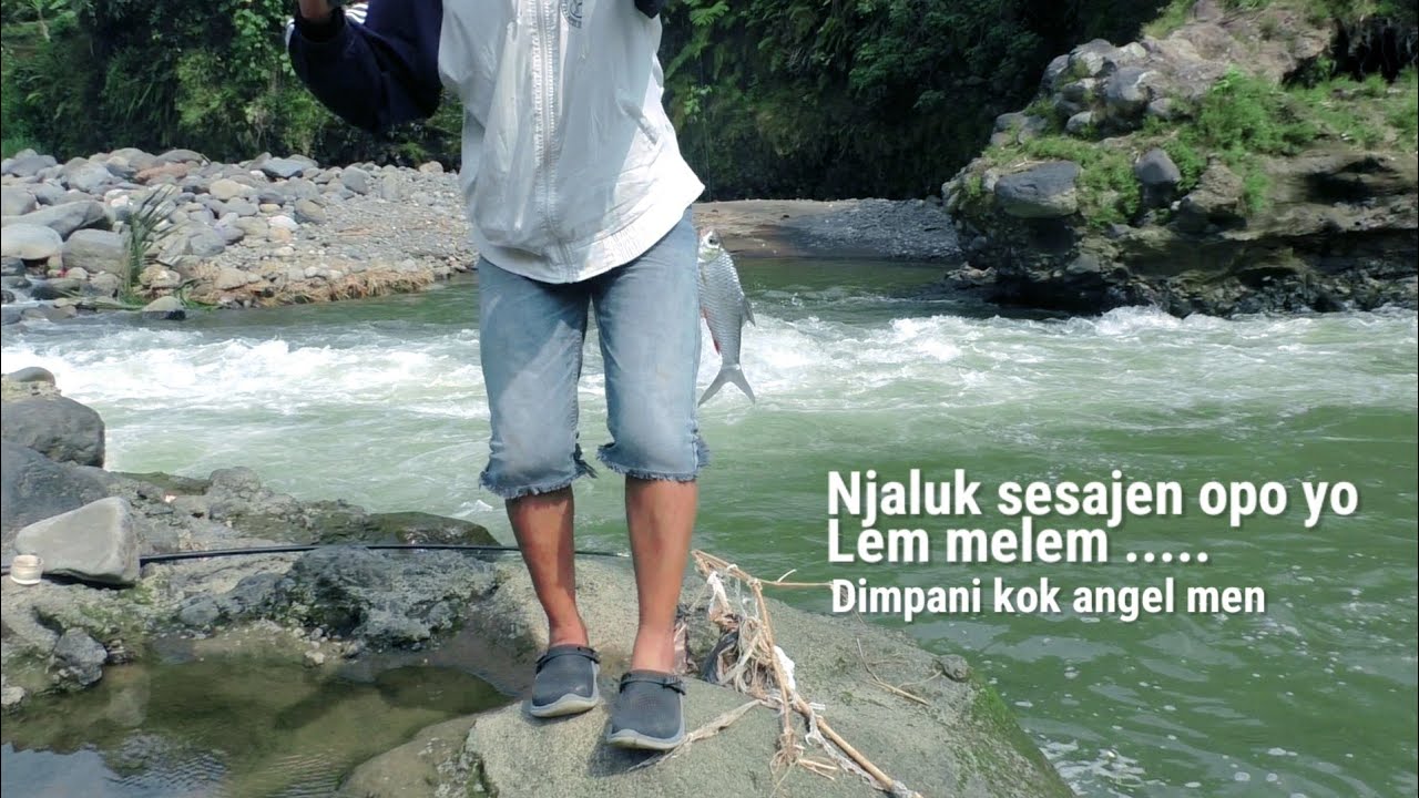 SAMPAI HERAN‼️ YANG MAKAN IKAN KEPET MERAH SEMUA NILEMNYA KEMANA❓