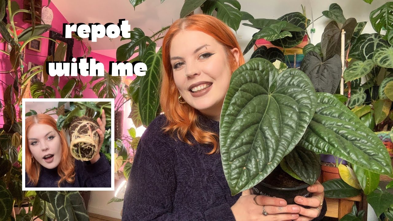 Давайте займёмся делами по уходу за растениями, которых я избегала 🌿