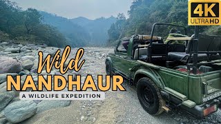 Extreme adventure and Wildlife exploration at Nandhaur Wildlife Sanctuary