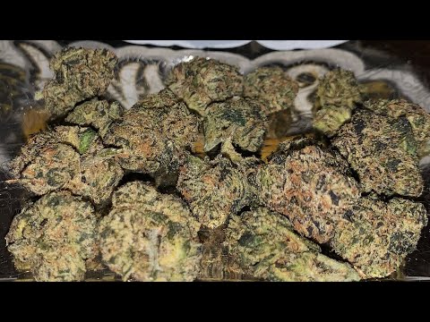 RS-11 Strain Review
