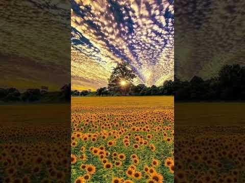منظر طبيعي للتصميم القران الكريم كرومات القرآن والادعية جاهزة للتصميم ينبض بحب الله