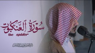 سورة العنكبوت || من ليالي التراويح الرمضانية الخاشعة بصوت الشيخ القارئ||هيثم الدخين