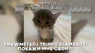 5mewmet&dj trippie flameboy-Покажи мне свои :т ★Speed up★