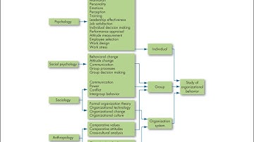 What is Organizational Behavior? Organizational Psychology Lecture 1 Part 1
