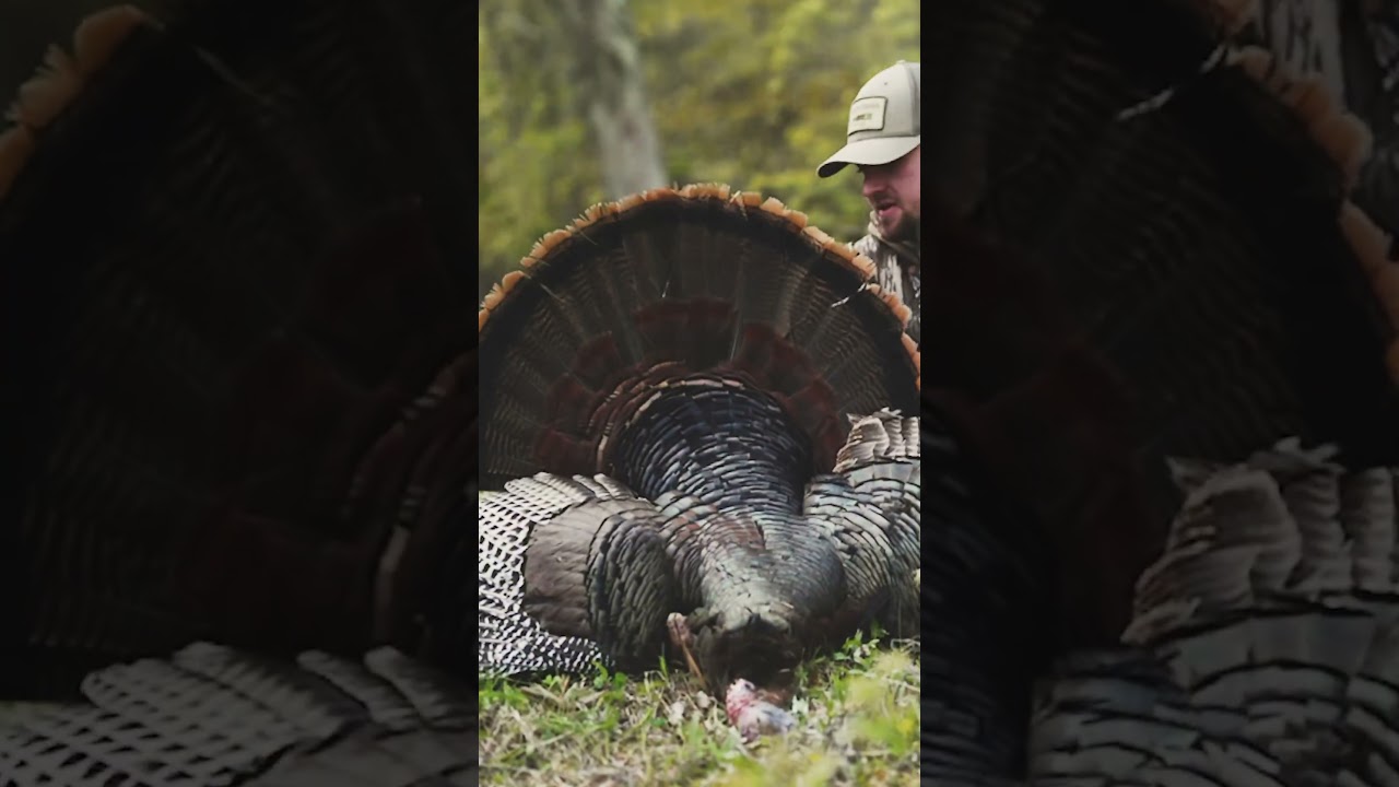 #turkeyhunting