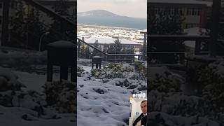 Yüreğini Gin Den Yanmışım