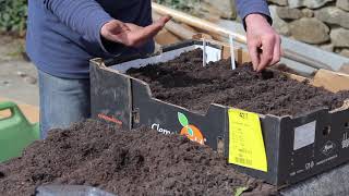 Gardening for Biodiversity: Cardboard Box Garden