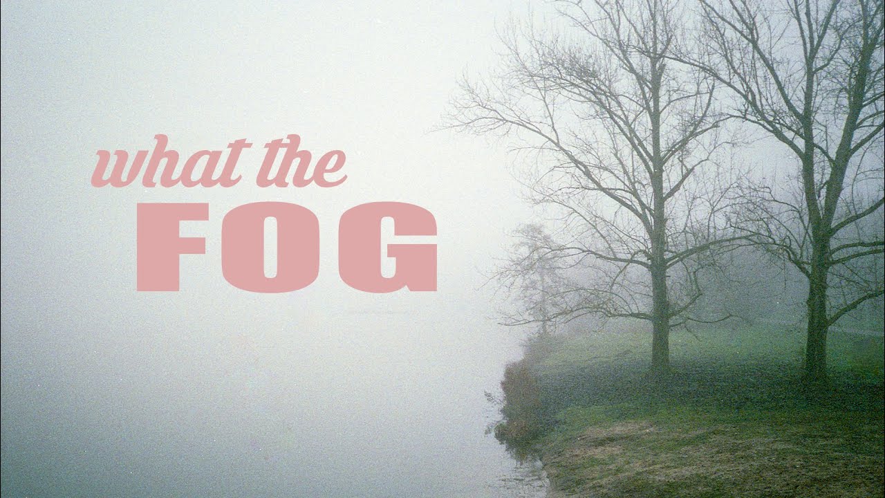 SHOOTING FILM IN THE FOG | Bronica ETRSi + Yashica T4 (expired film)