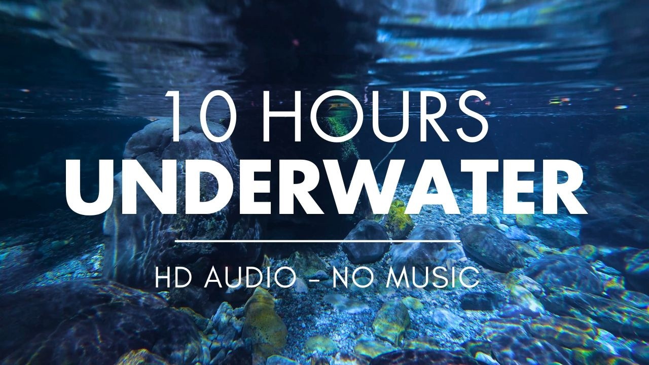 Water ASMR ❘ Gentle Soundscape of Underwater River ❘ HD Audio