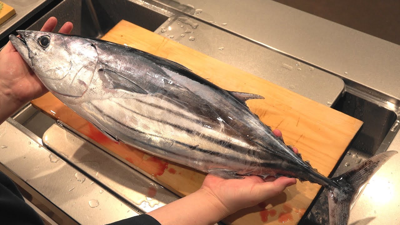 カツオのさばき方と刺身の作り方（Bonito sashimi）