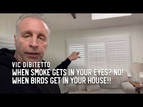 When smoke gets in your eyes? No! When birds get in your house!!