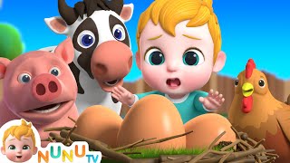 Farm & Domestic Animal | Kids Songs & Nursery Rhymes | NuNu Tv