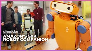 The $50,000 Robot That Wants to Move In With You