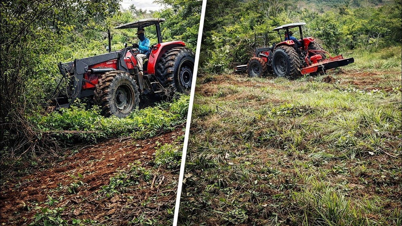 Trator Massey Ferguson 4292 HD Limpando Pasto// Achei algo na moita!!