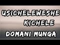 DOMANI MUNGA FT SKILLO - KICHELE (LYRICS VIDEO)