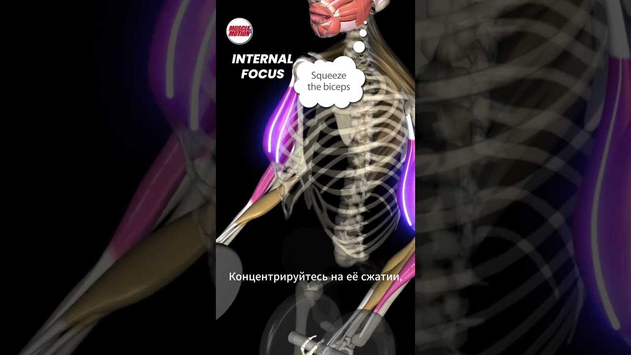 Концентрируйся на мышцах!