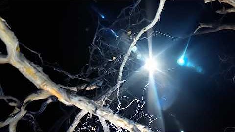 Sectra - Horrid & Dejected ft. Dis Fig