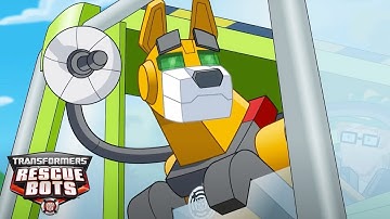 Servo Saves Cody 🚚🐕🚨 | Rescue Bots | Kids Cartoon | Videos for Kids | Transformers Junior