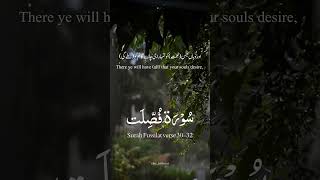 Surah Fussilat verse 30-32 with Urdu English translation #shorts #shortvideo #nature #quran #urdu