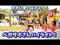 【ベガルタ仙台】vs甲府⚽️帰ってきたユアスタ‼️やっぱ最高‼️😭迫力に終始度肝抜かれるベガサポさんハイライト集📣これからも頑張れ💪🏻ベガルタ仙台🌼