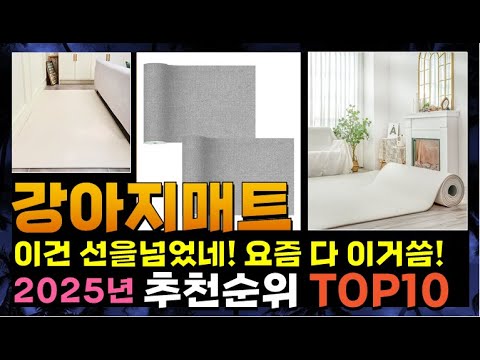 지금 사야 할 강아지매트! 2025년 추천 Top10!