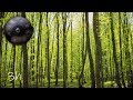 Cozy Hang Drum Music To Relax, Have Coffee, Study, Work or Sleep [ Handpan Music ]