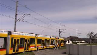Spoorwegovergang / Bahnübergang BLT Linie 10 Rue de Waldeck Leymen
