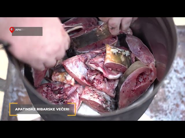 APATINSKE RIBARSKE VEČERI 5. 7. 2026. Balkan Trip TV