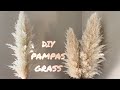 DIY PAMPAS GRASS THAT WON’T SHED!
