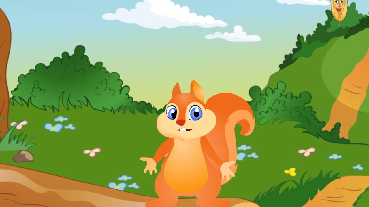 cartoon squirrel - YouTube