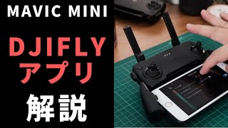 Mavic Mini アプリ DJI Flyのメニュー解説 (iOS版)
